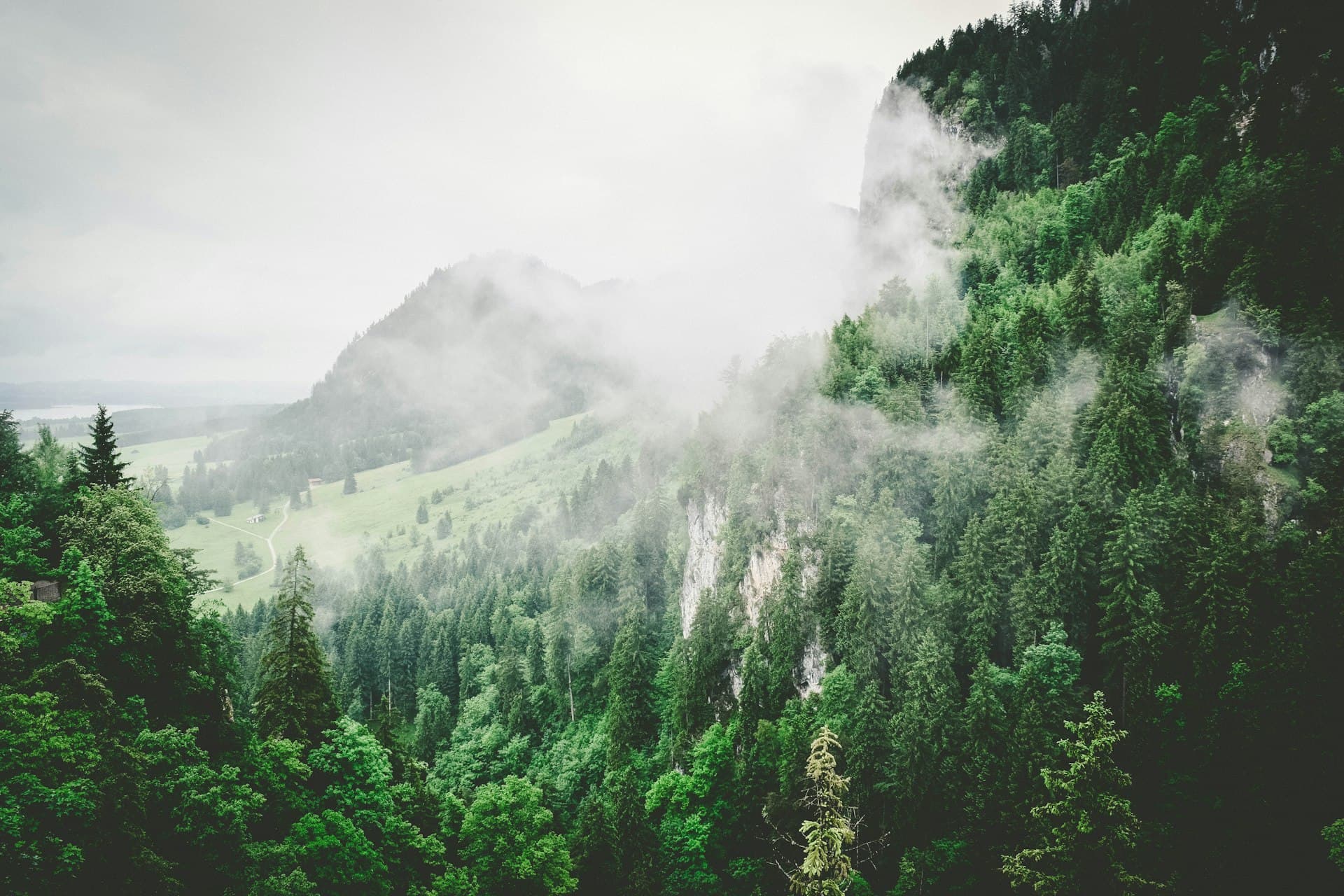 Sustainable IT: Green Computing Strategies That Reduce Costs